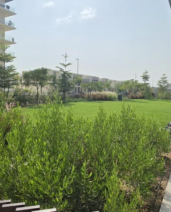 Irrigated lawn and ornamental shrubs in a large landscaped area