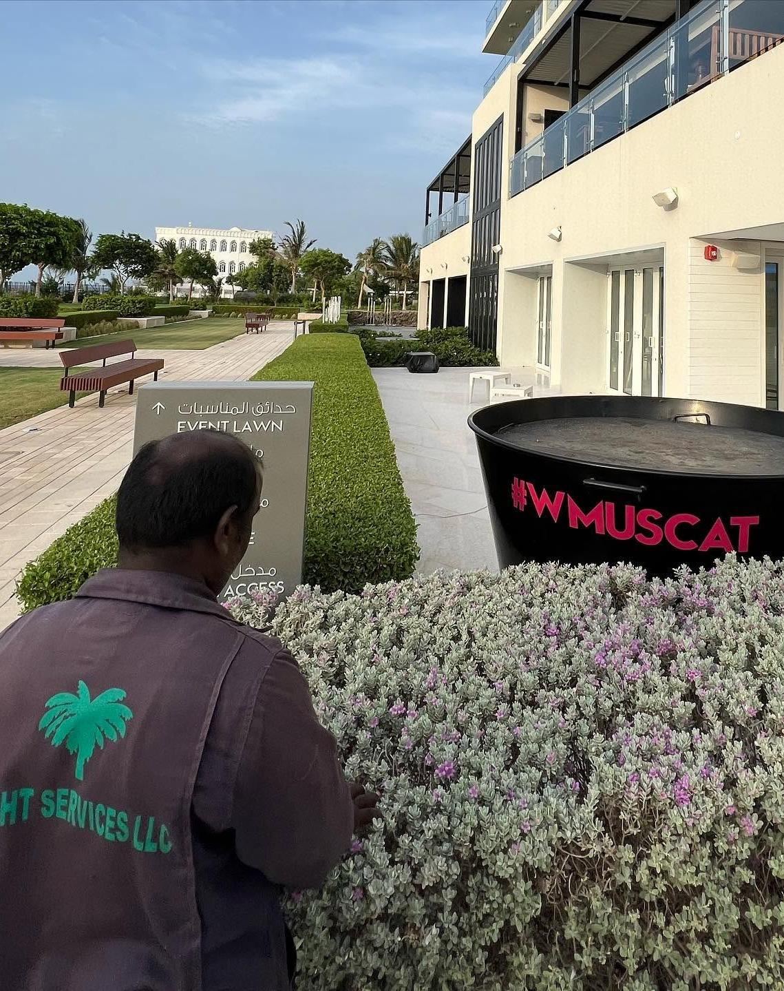 Eight Services maintenance team member caring for flowering planting