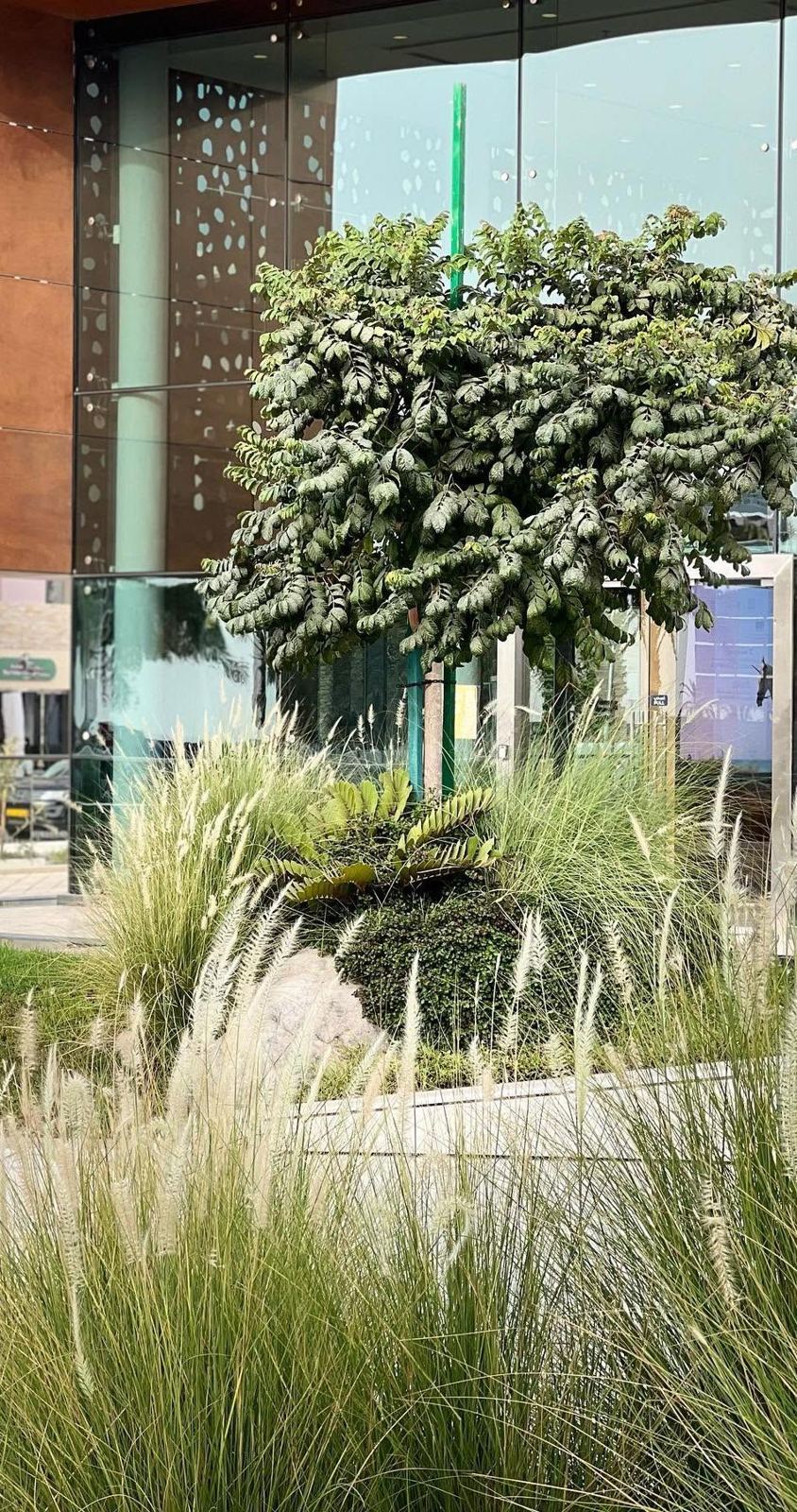 Layered planting of trees, shrubs and grasses beside a commercial building